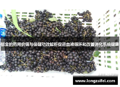 郁金的药用价值与保健功效解析促进血液循环和改善消化系统健康 郁金的药用价值与保健功效解析促进血液循环和改善消化系统健康