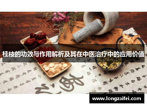 桂枝的功效与作用解析及其在中医治疗中的应用价值