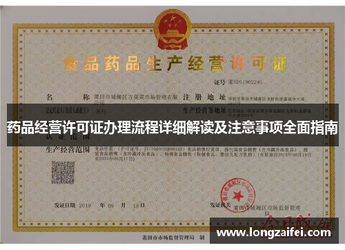 药品经营许可证办理流程详细解读及注意事项全面指南